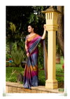 Bahara By Stavan 3d Velvet Saree Best Wholesale Shop In Surat